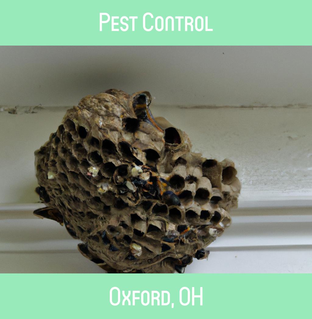 pest control in Oxford Ohio