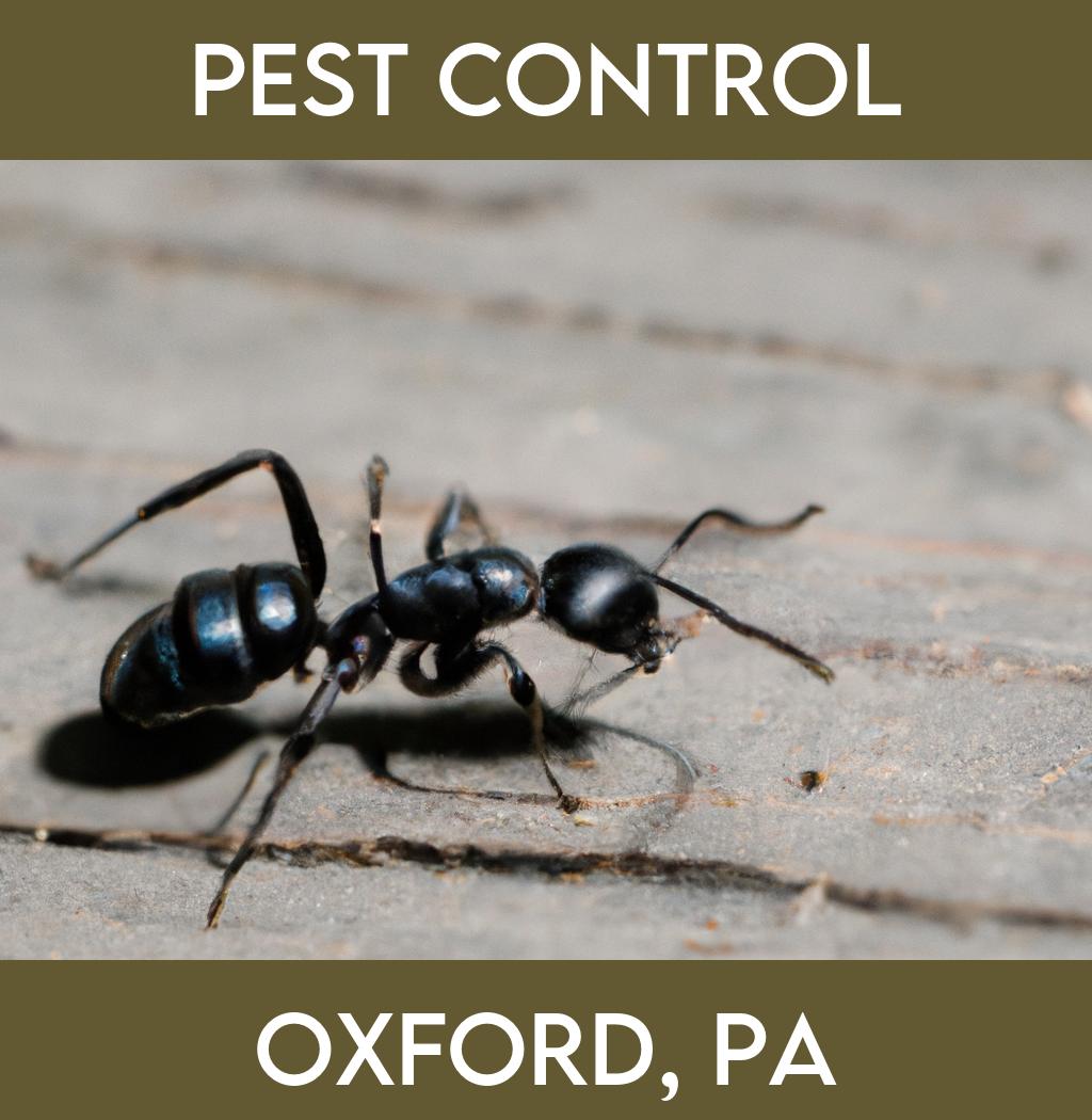 pest control in Oxford Pennsylvania