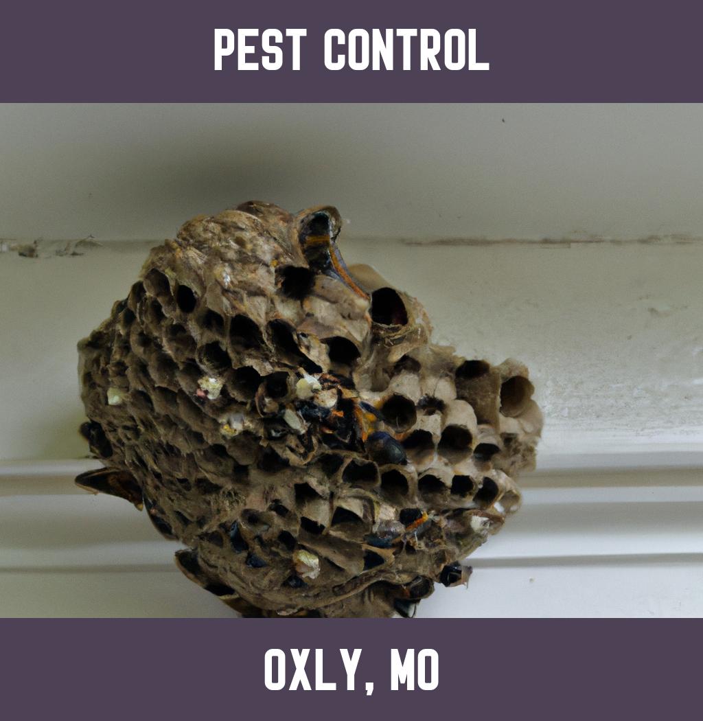 pest control in Oxly Missouri