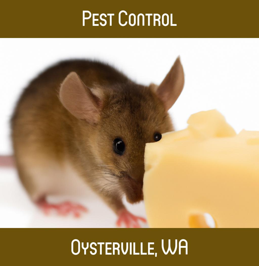 pest control in Oysterville Washington