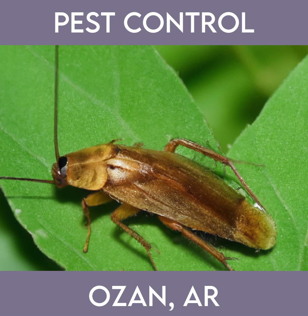 pest control in Ozan Arkansas