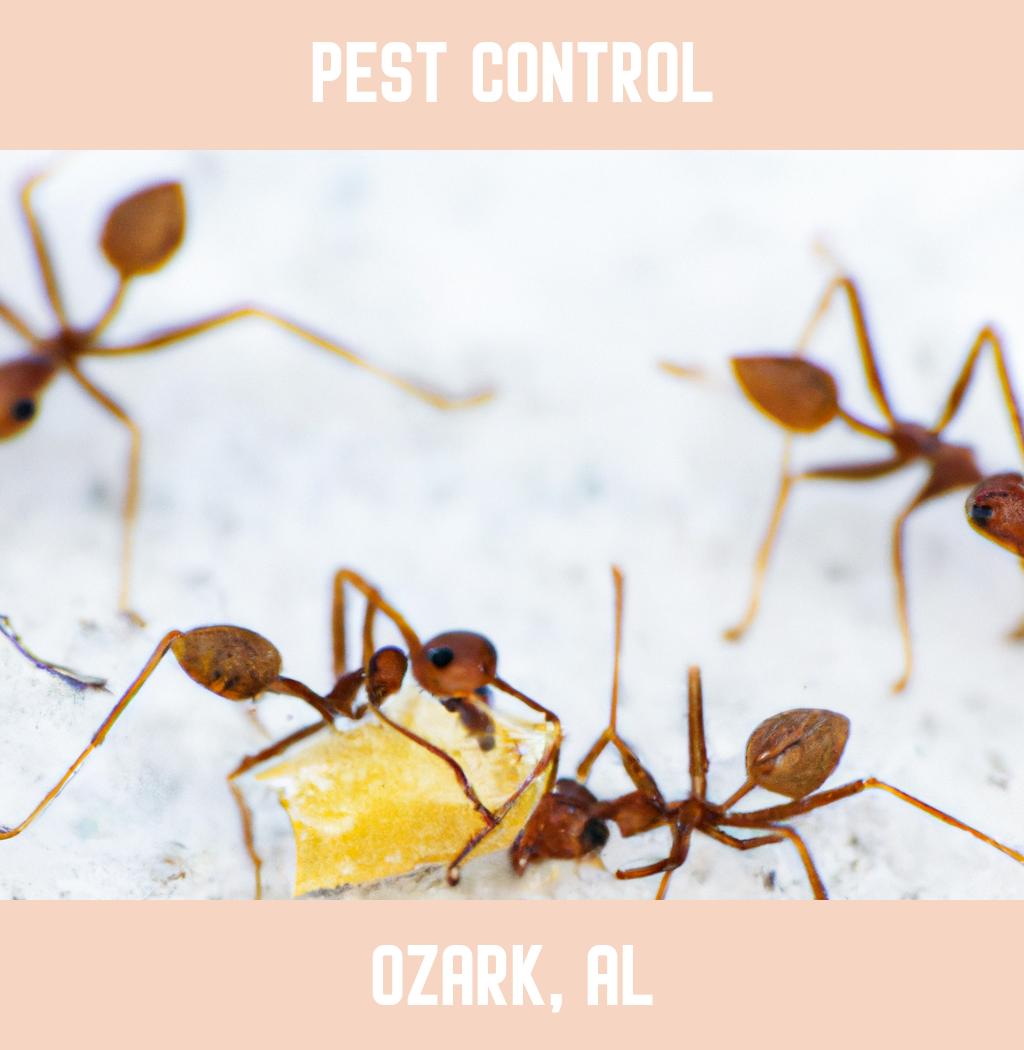 pest control in Ozark Alabama