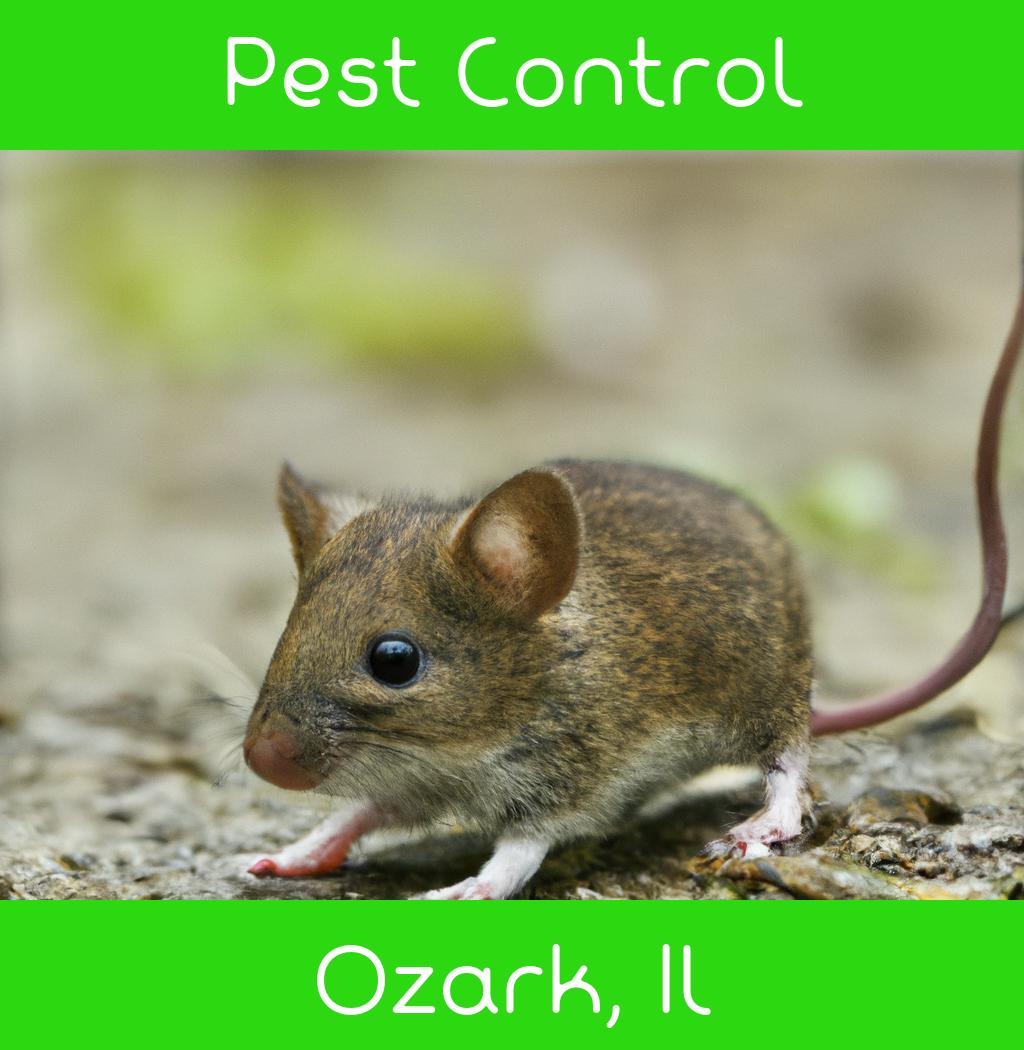 pest control in Ozark Illinois