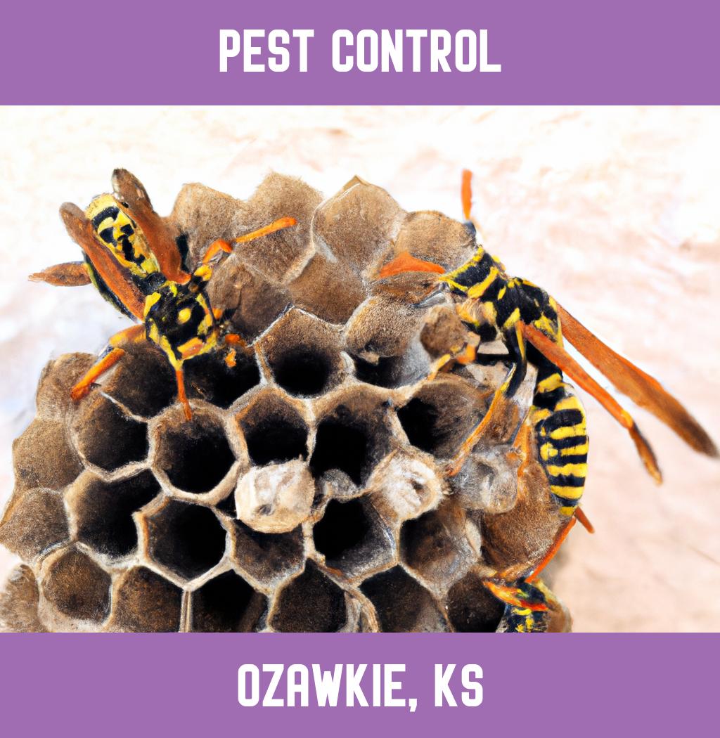 pest control in Ozawkie Kansas