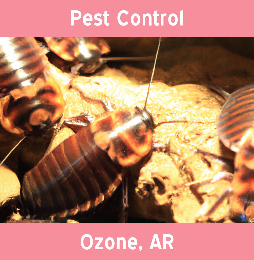 pest control in Ozone Arkansas