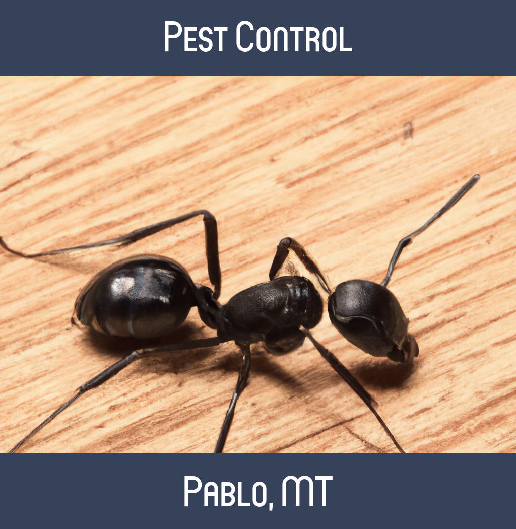 pest control in Pablo Montana