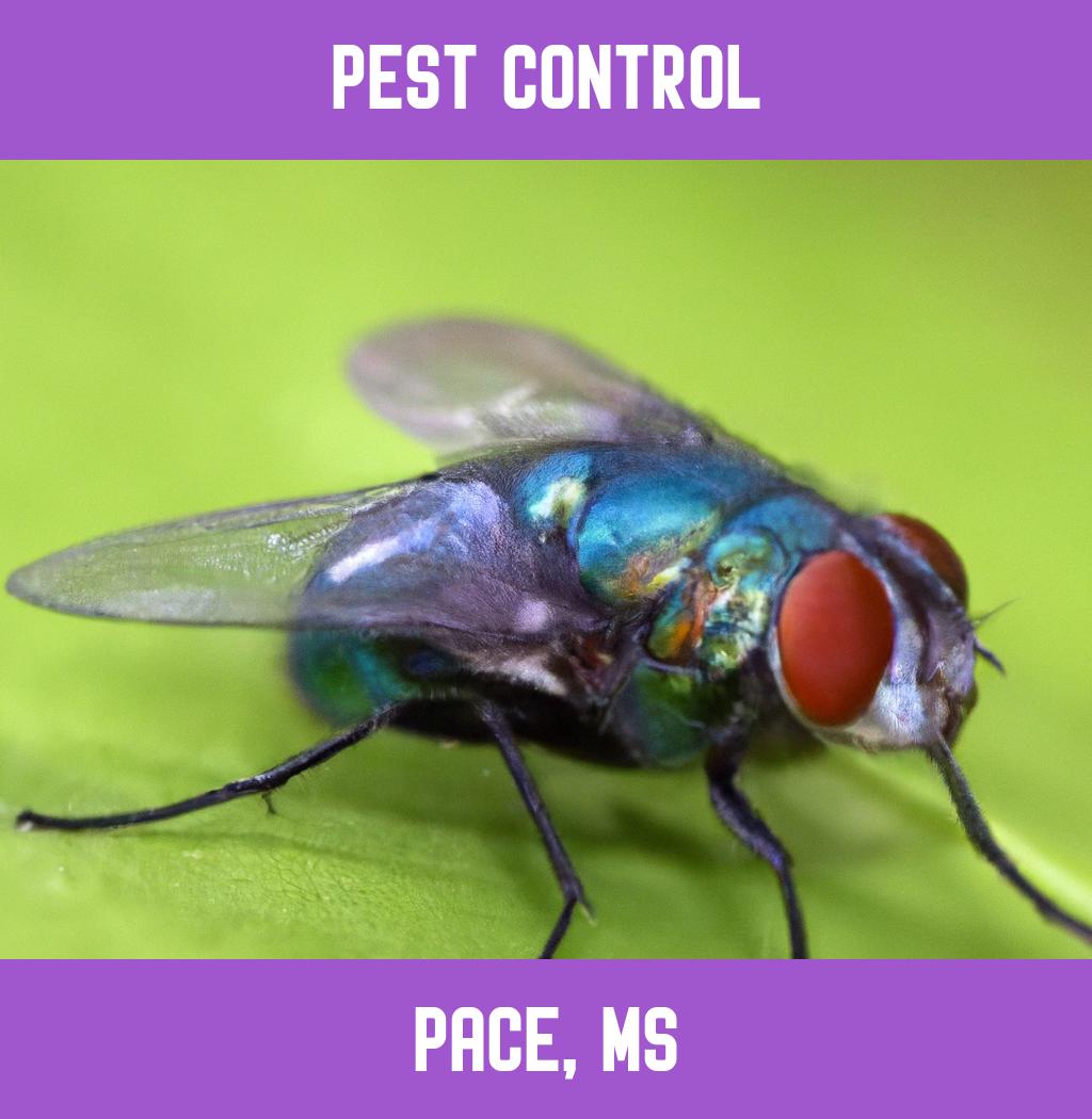 pest control in Pace Mississippi
