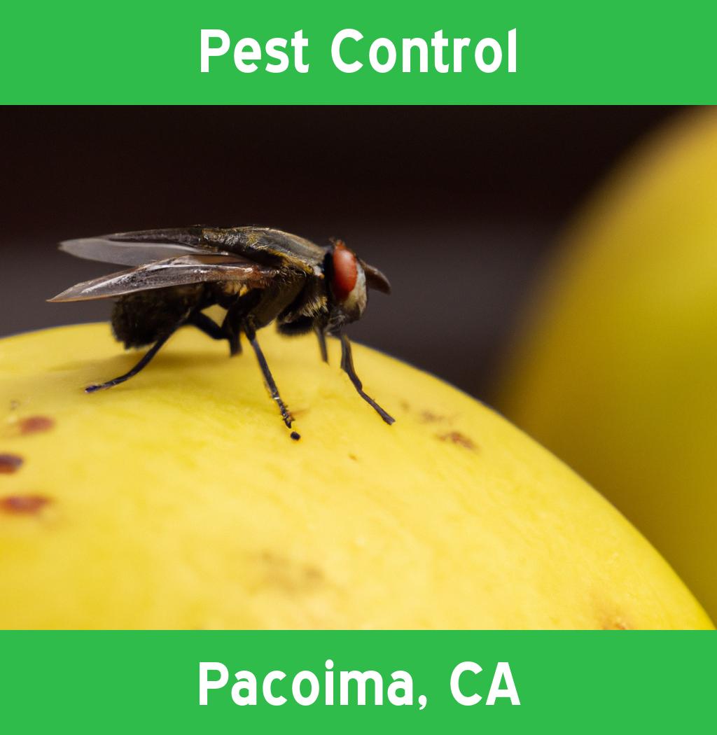 pest control in Pacoima California