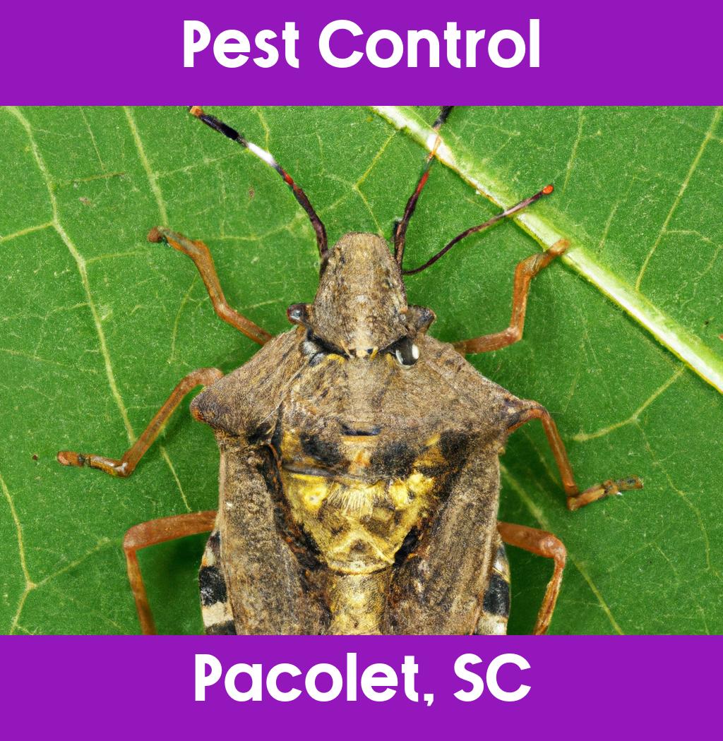 pest control in Pacolet South Carolina