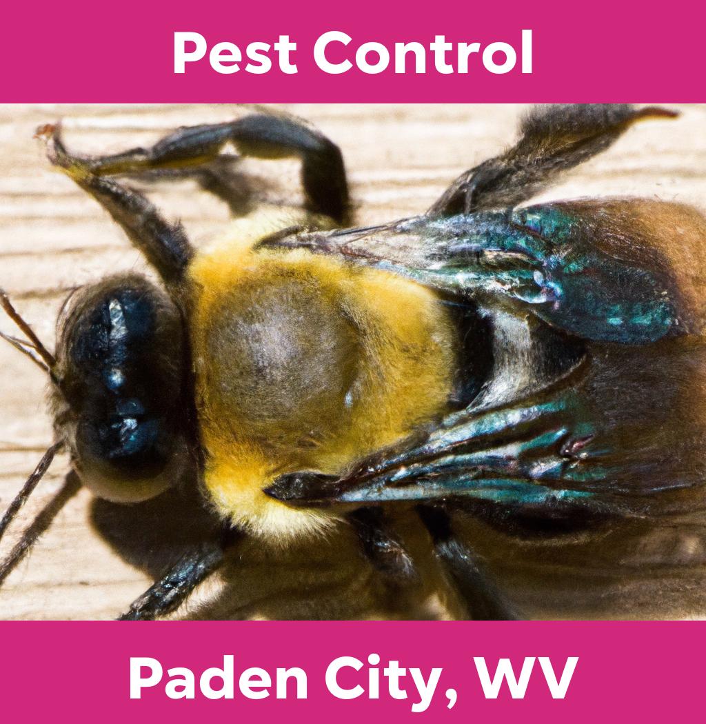 pest control in Paden City West Virginia