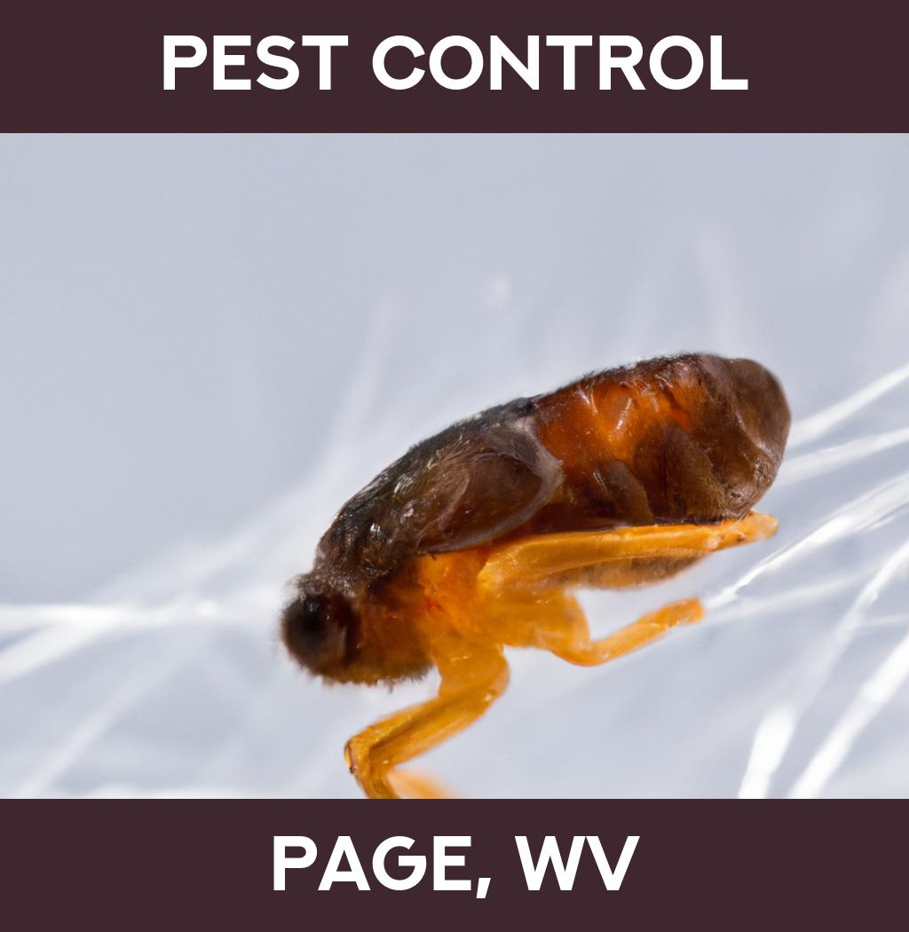 pest control in Page West Virginia