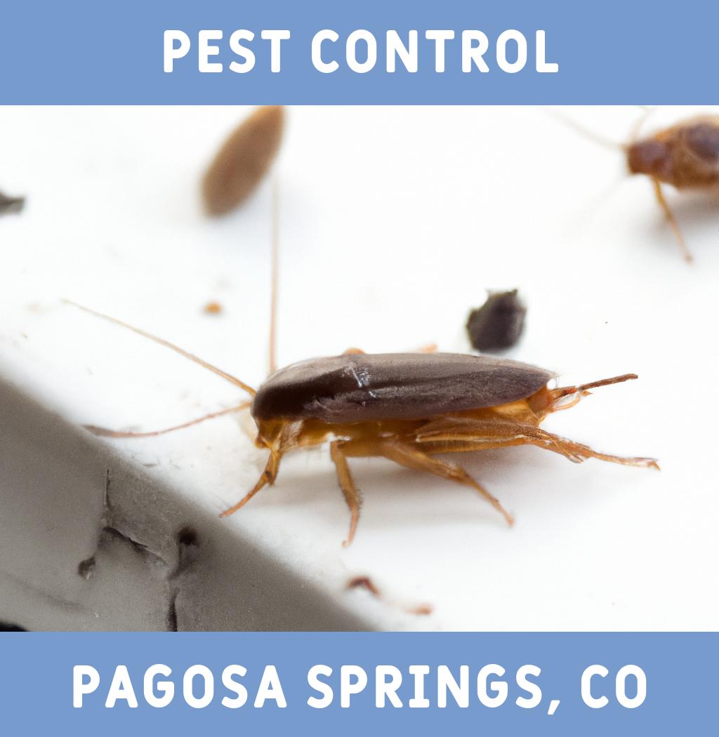 pest control in Pagosa Springs Colorado