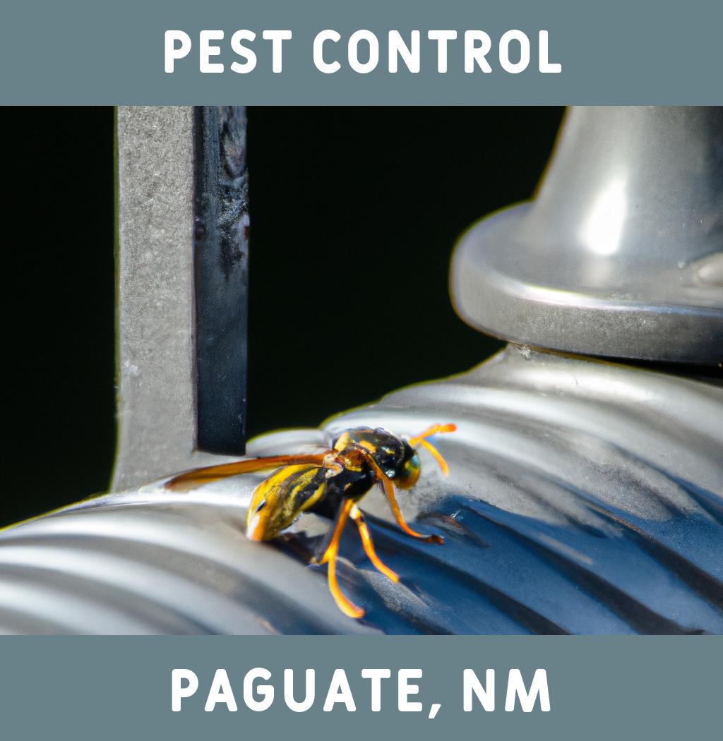 pest control in Paguate New Mexico