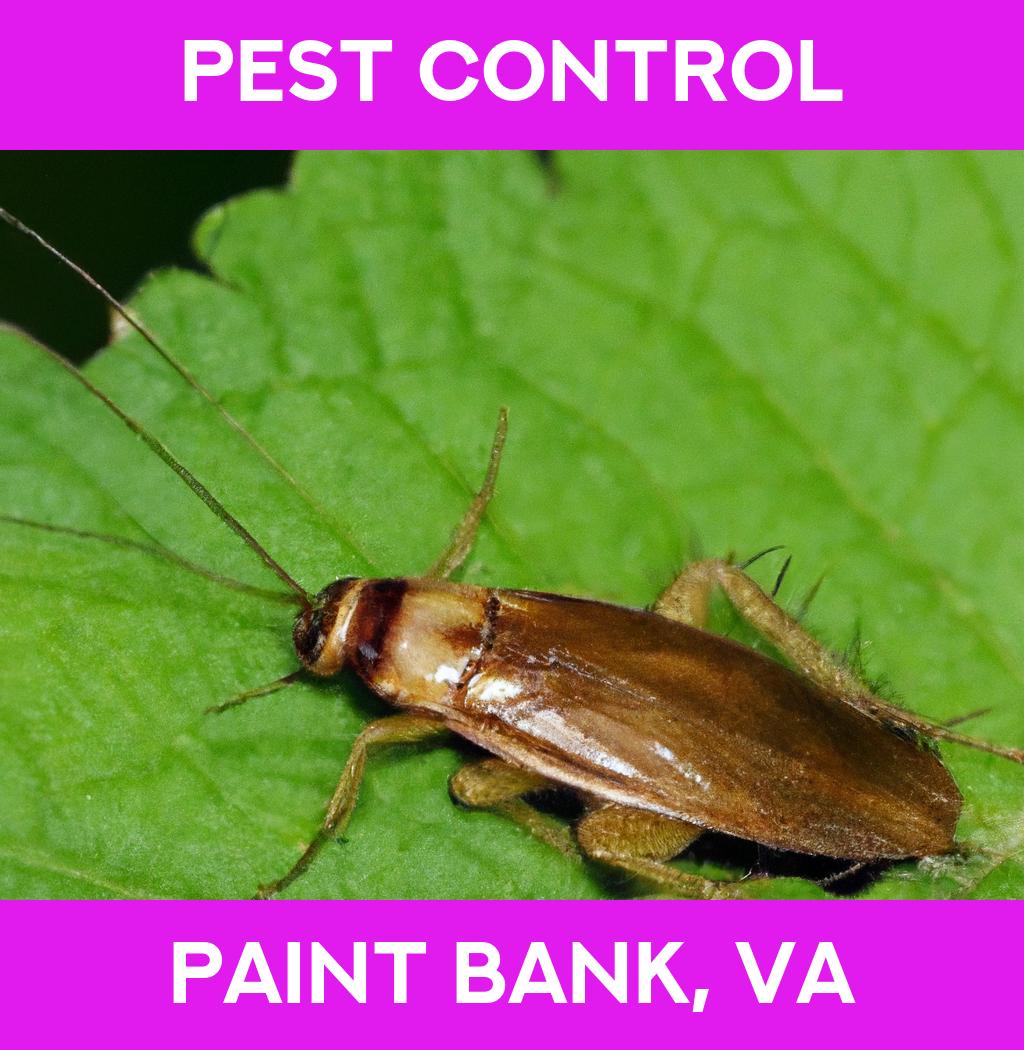 pest control in Paint Bank Virginia