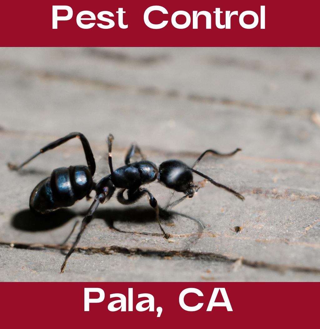 pest control in Pala California