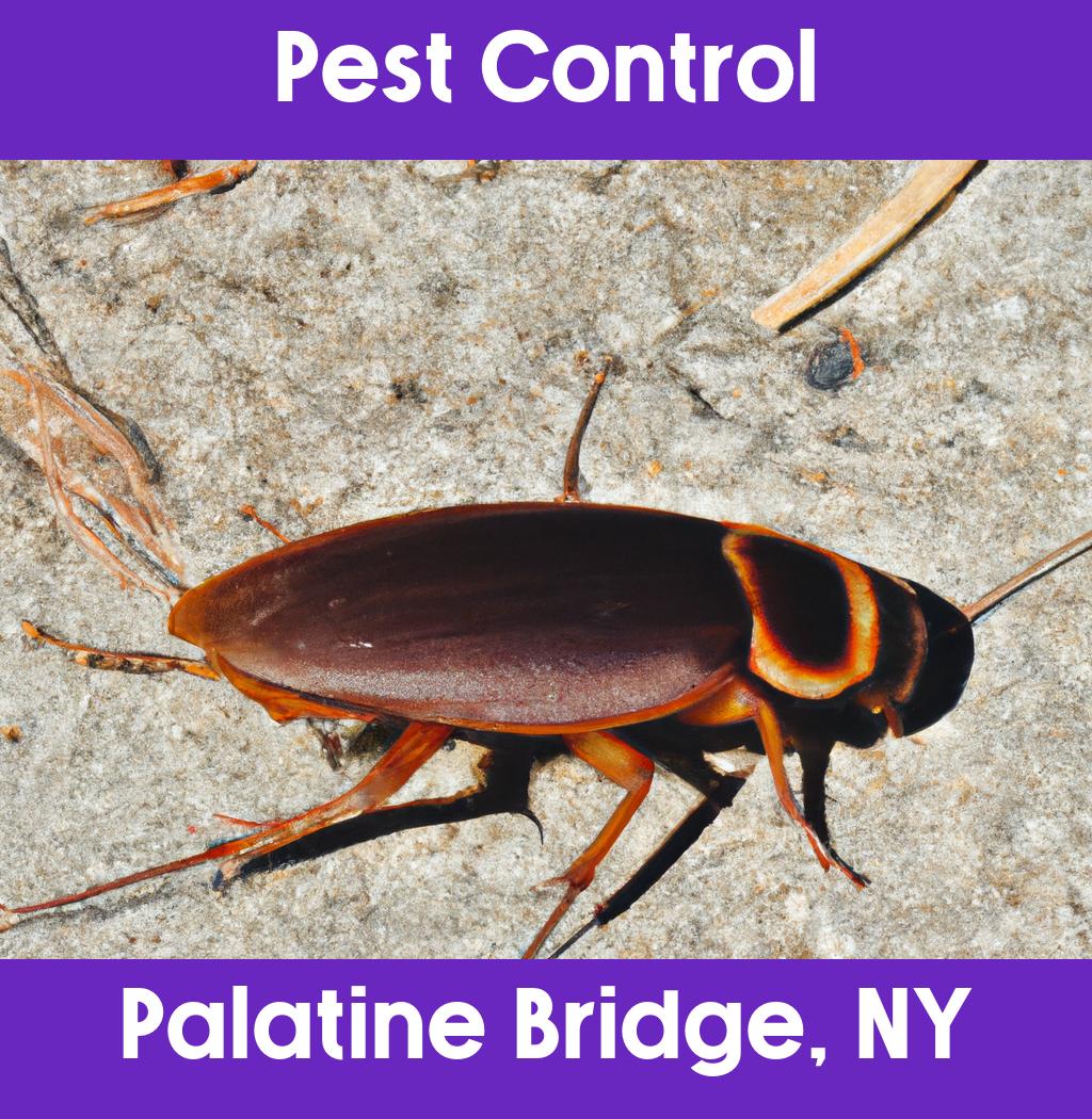 pest control in Palatine Bridge New York