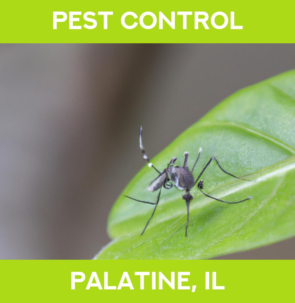pest control in Palatine Illinois