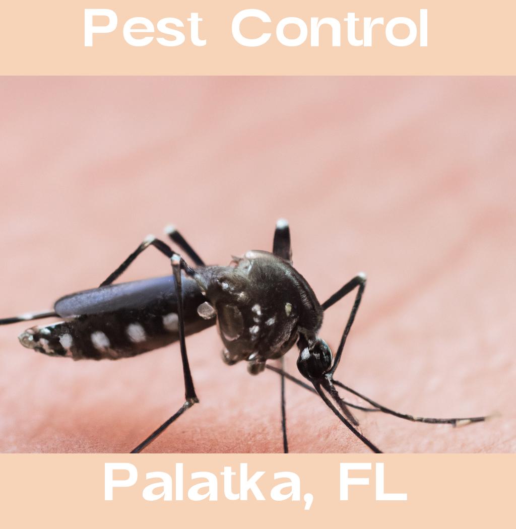 pest control in Palatka Florida