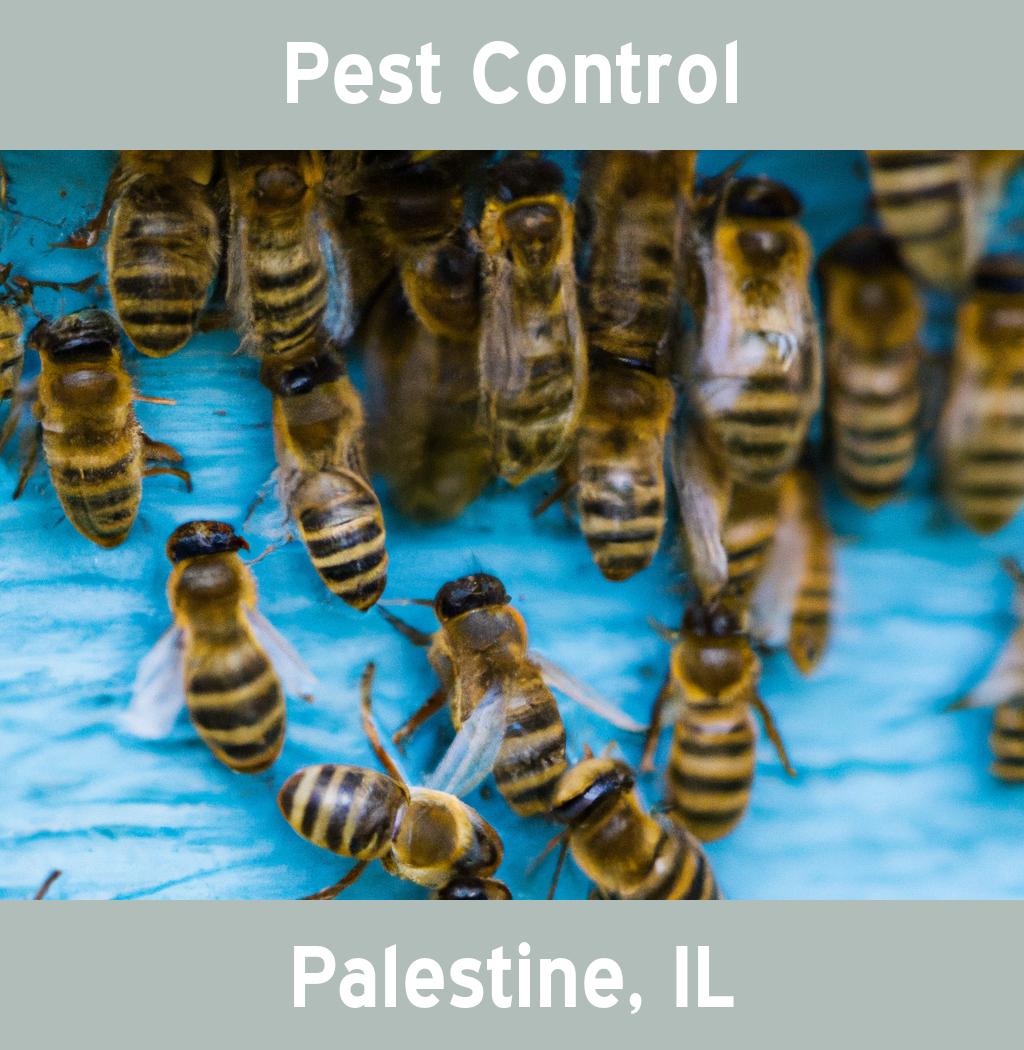 pest control in Palestine Illinois