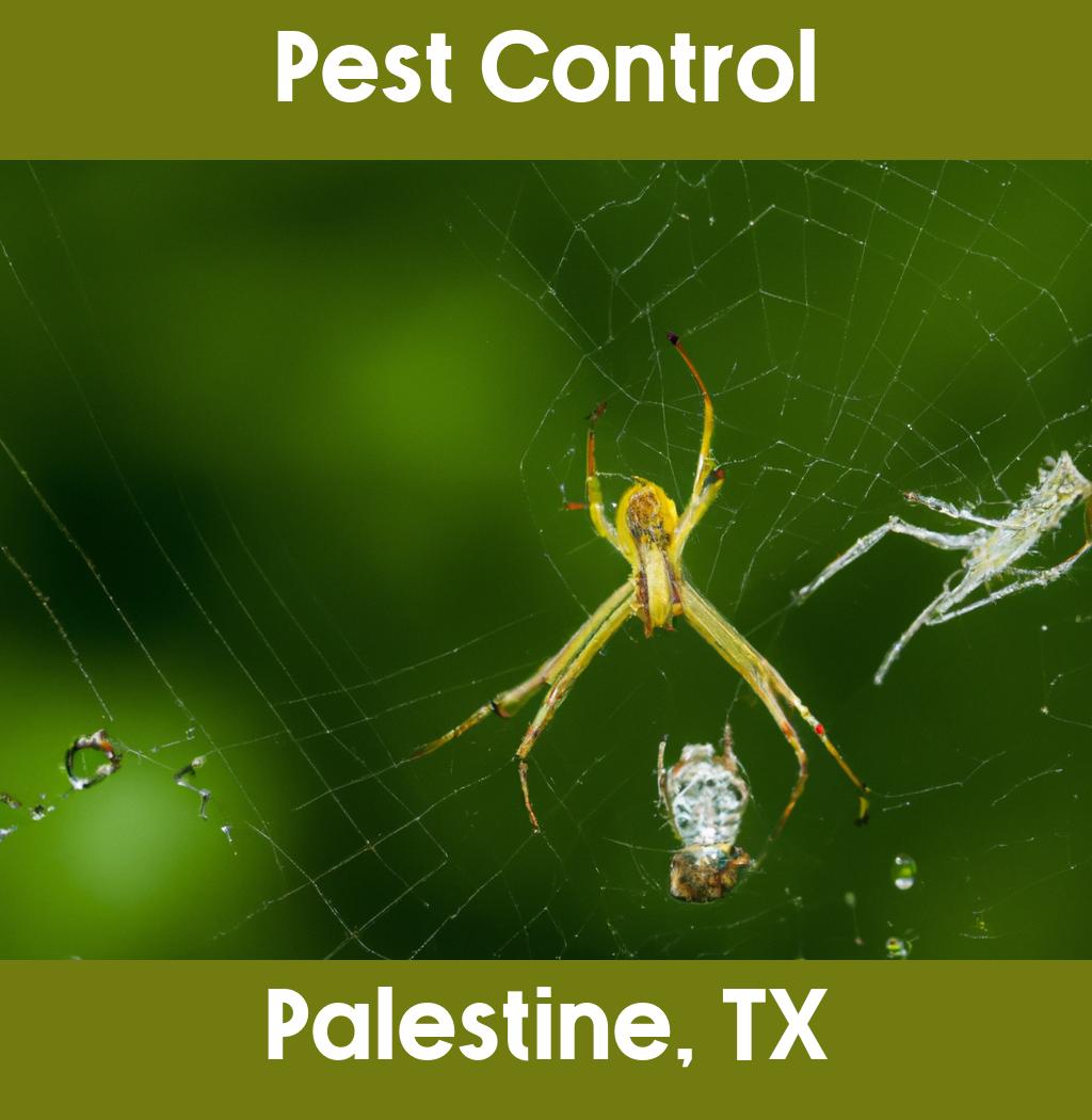 pest control in Palestine Texas