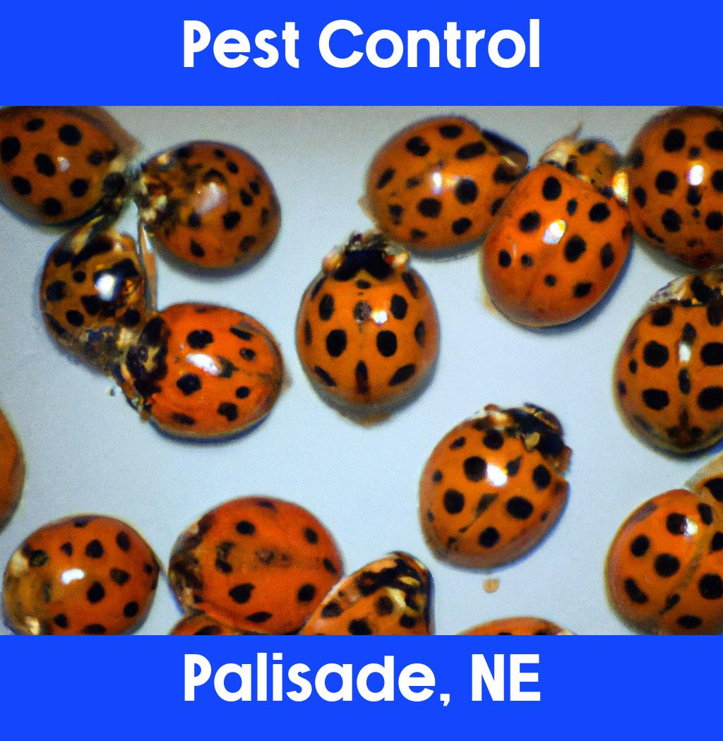 pest control in Palisade Nebraska