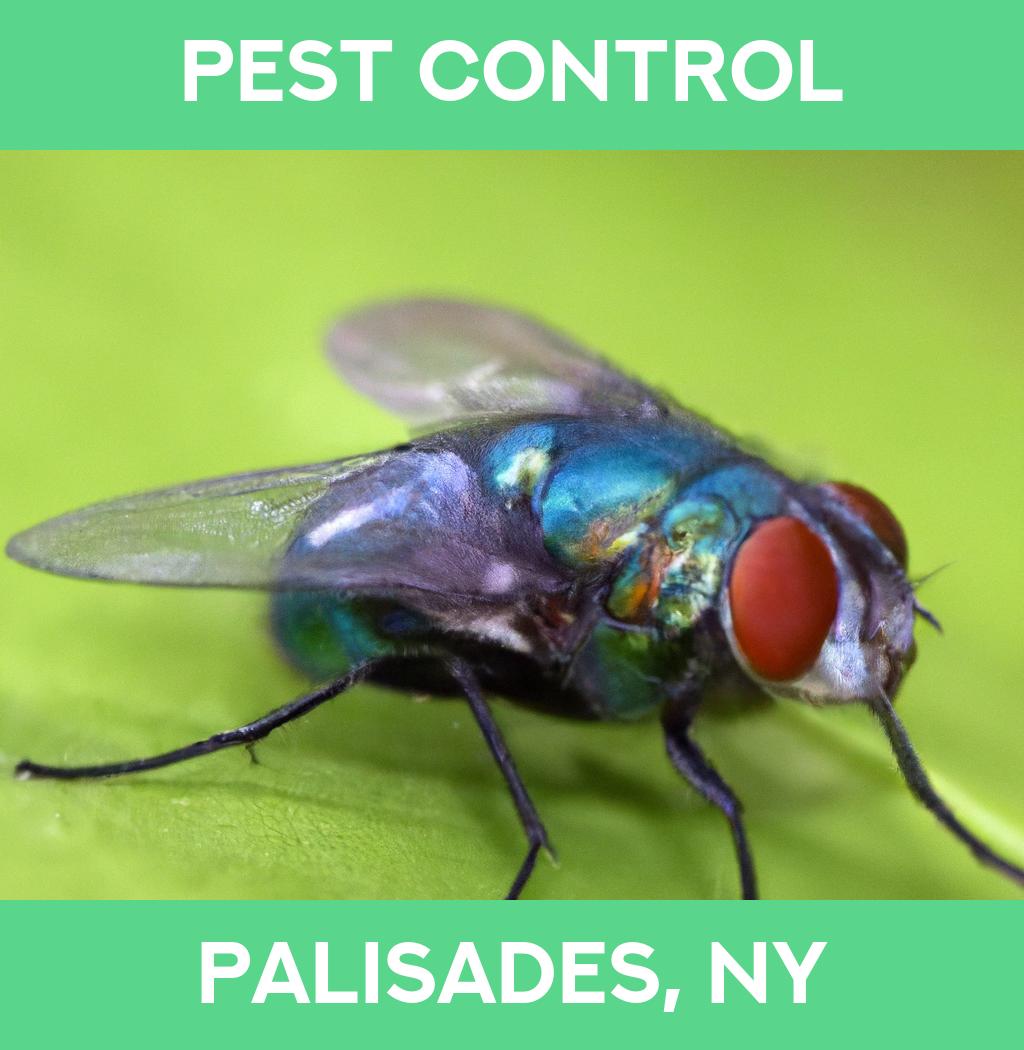 pest control in Palisades New York