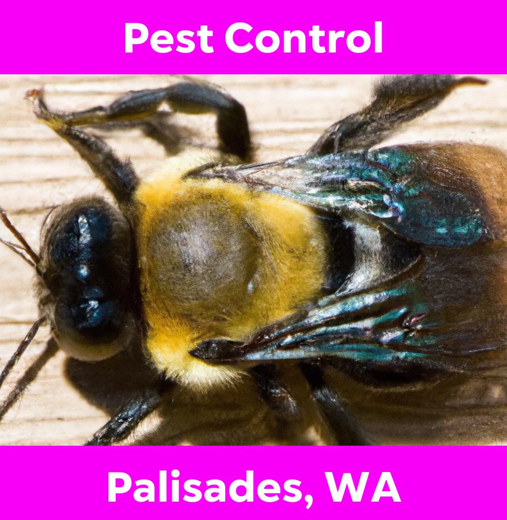 pest control in Palisades Washington