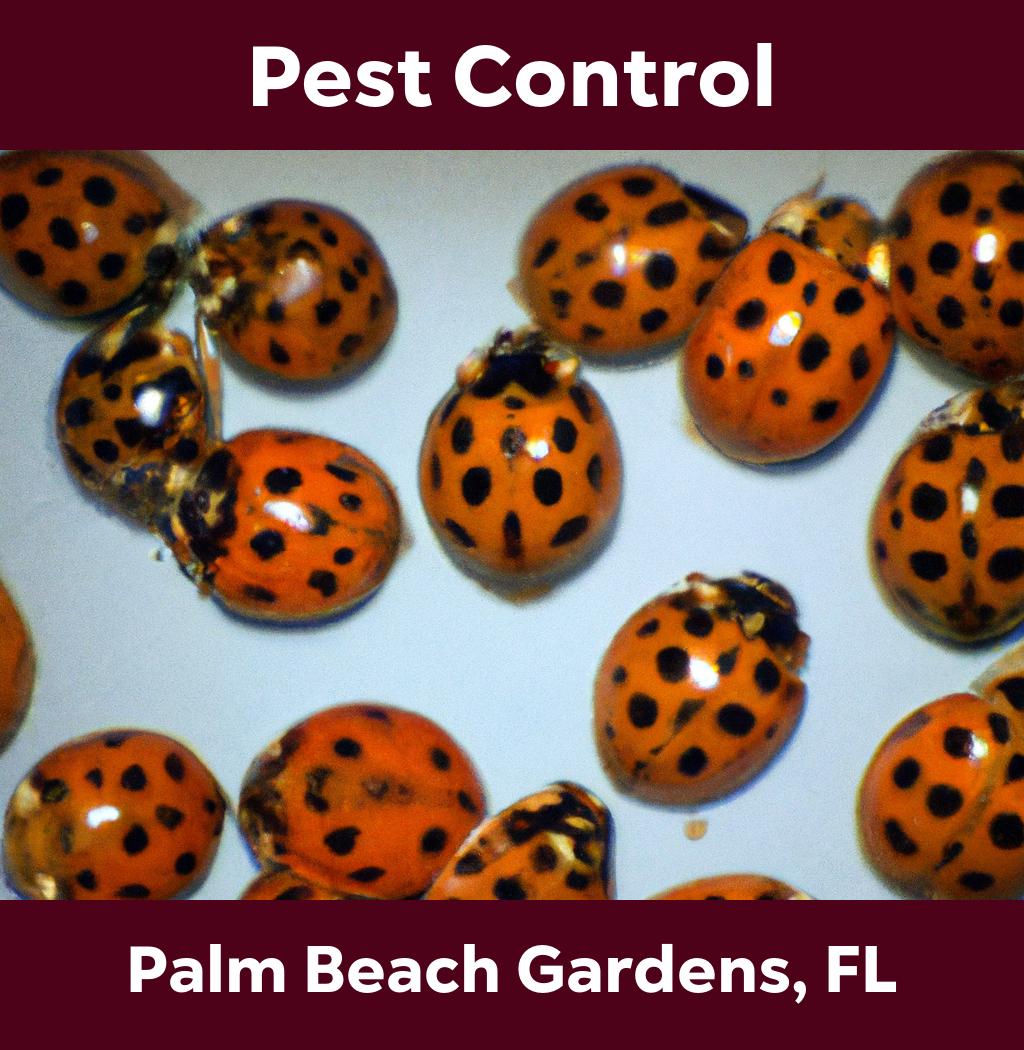 pest control in Palm Beach Gardens Florida