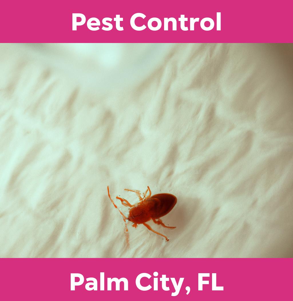 pest control in Palm City Florida