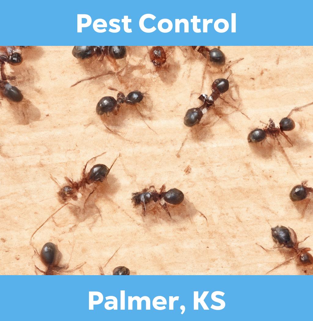 pest control in Palmer Kansas