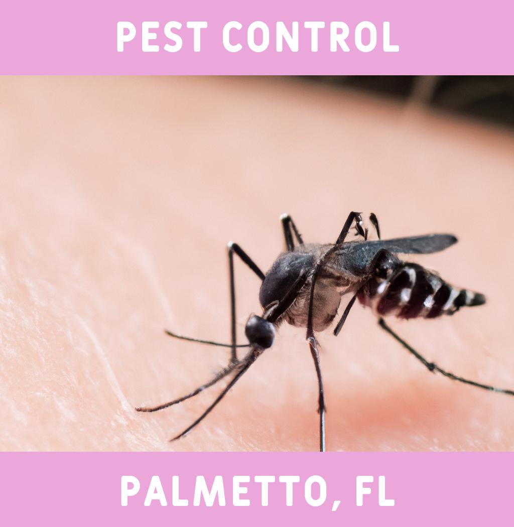 pest control in Palmetto Florida