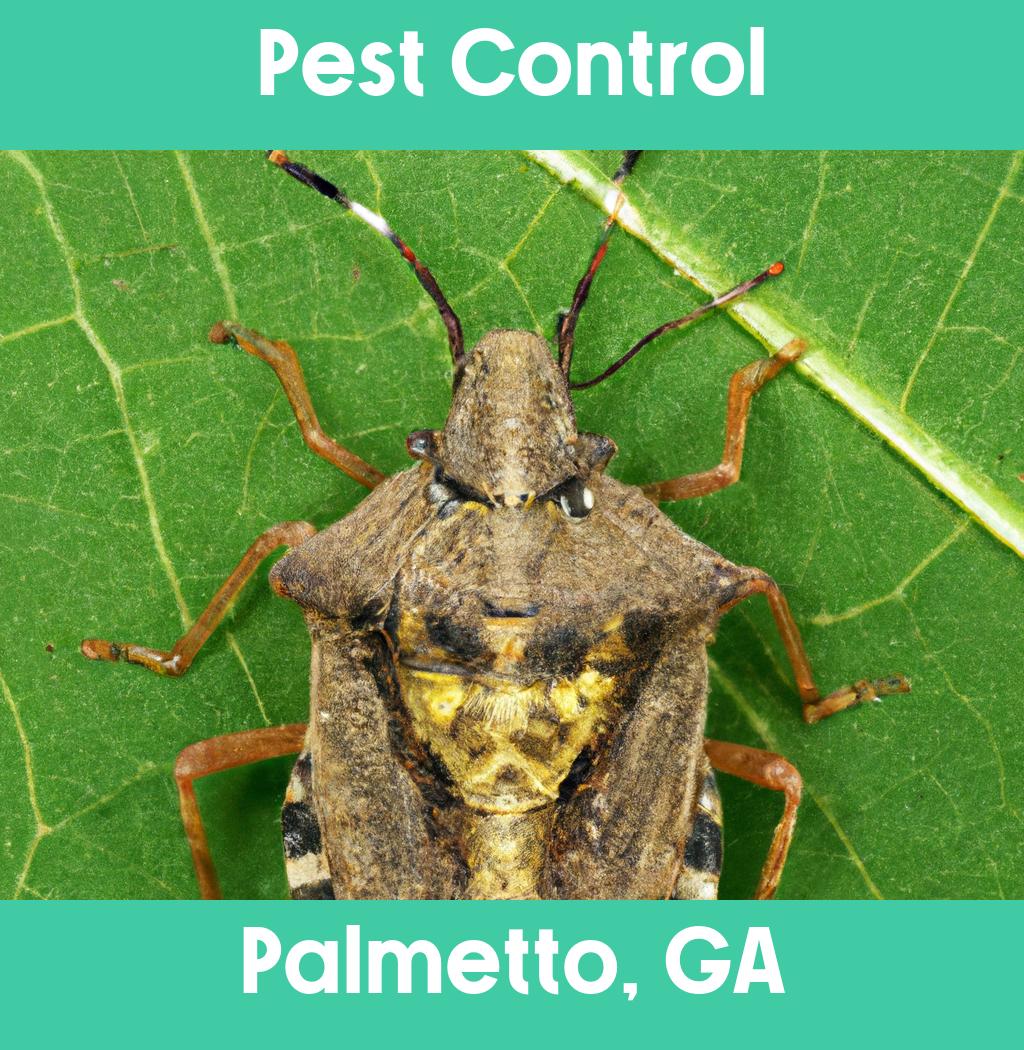 pest control in Palmetto Georgia