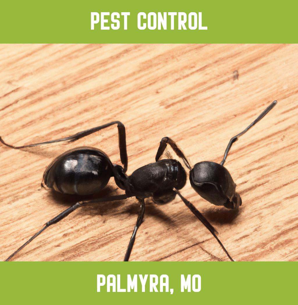 pest control in Palmyra Missouri