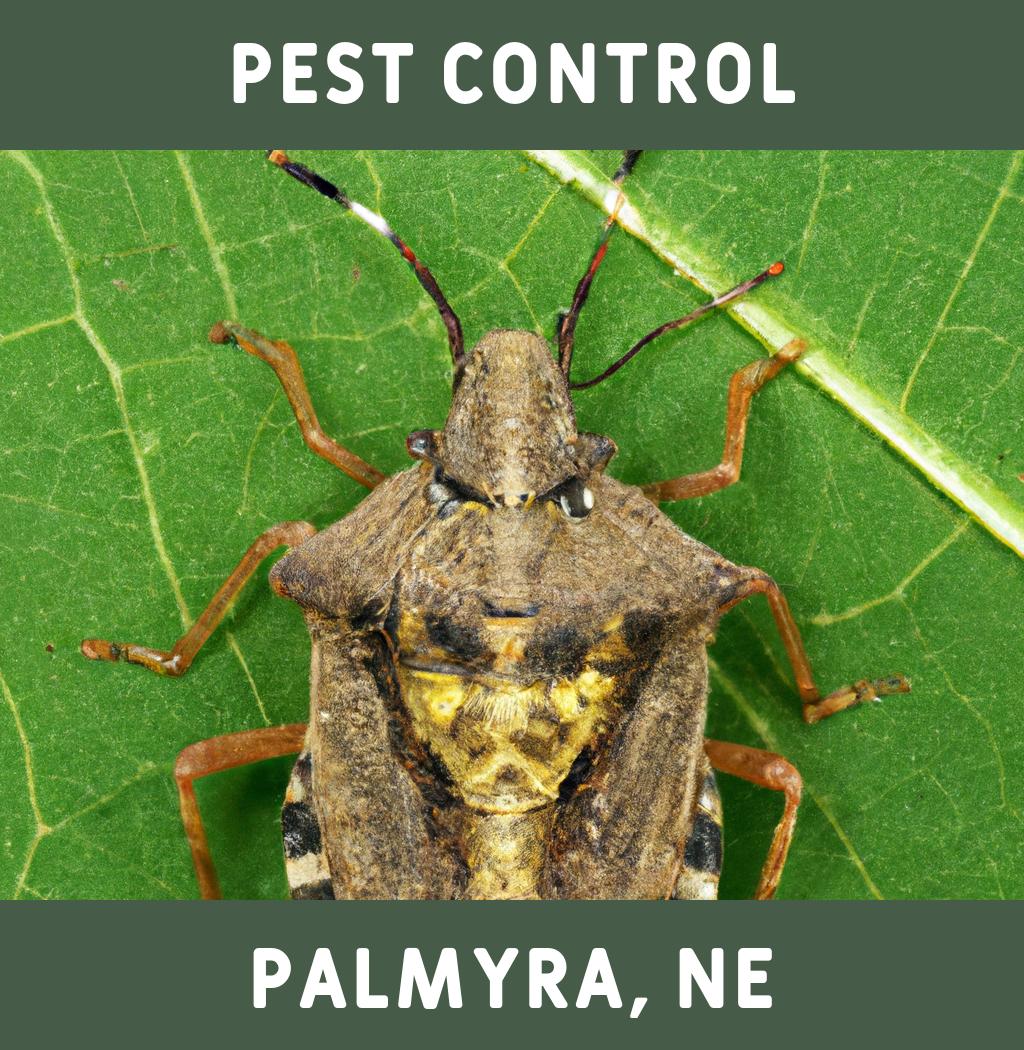 pest control in Palmyra Nebraska