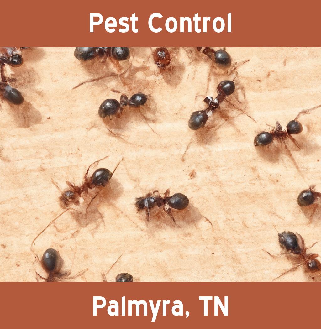 pest control in Palmyra Tennessee