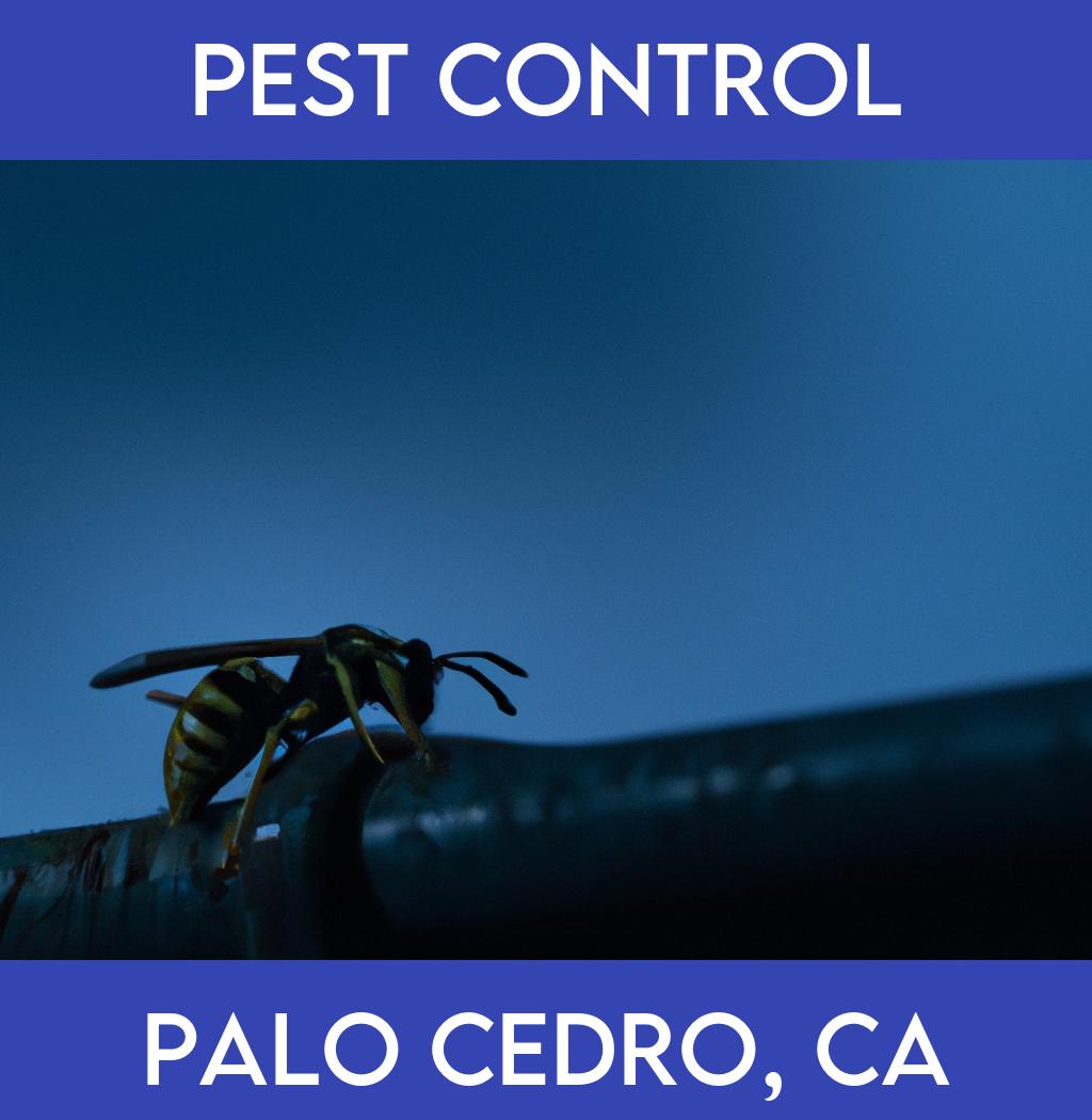 pest control in Palo Cedro California