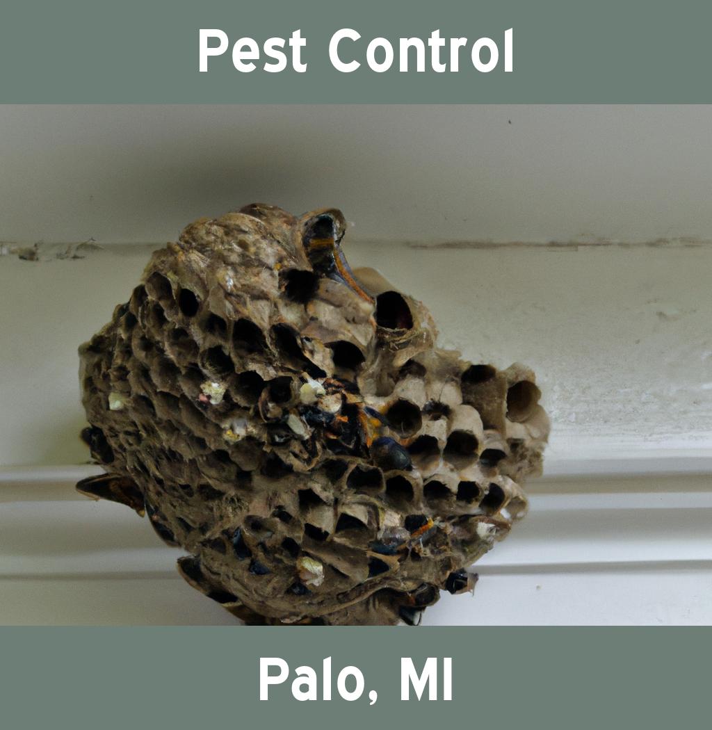 pest control in Palo Michigan