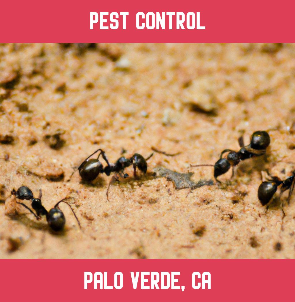 pest control in Palo Verde California