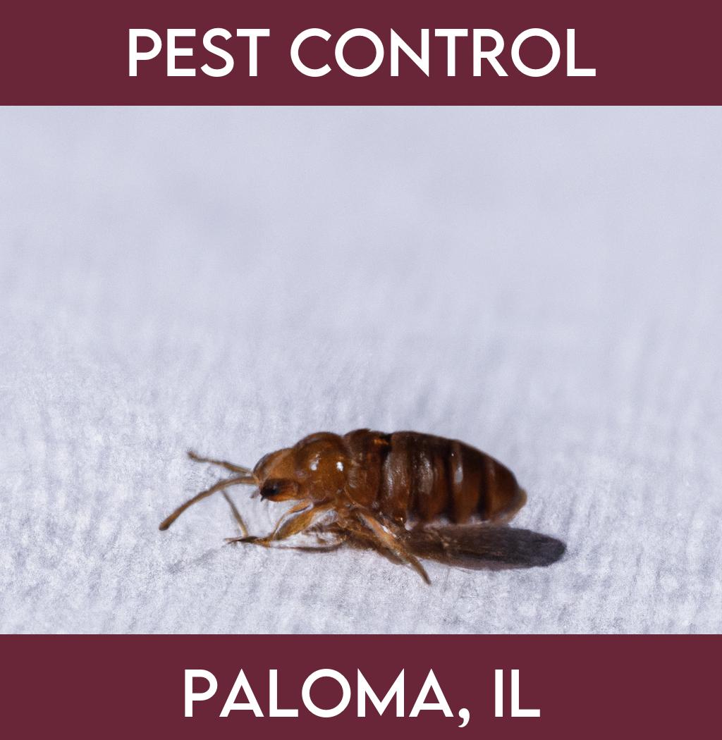 pest control in Paloma Illinois