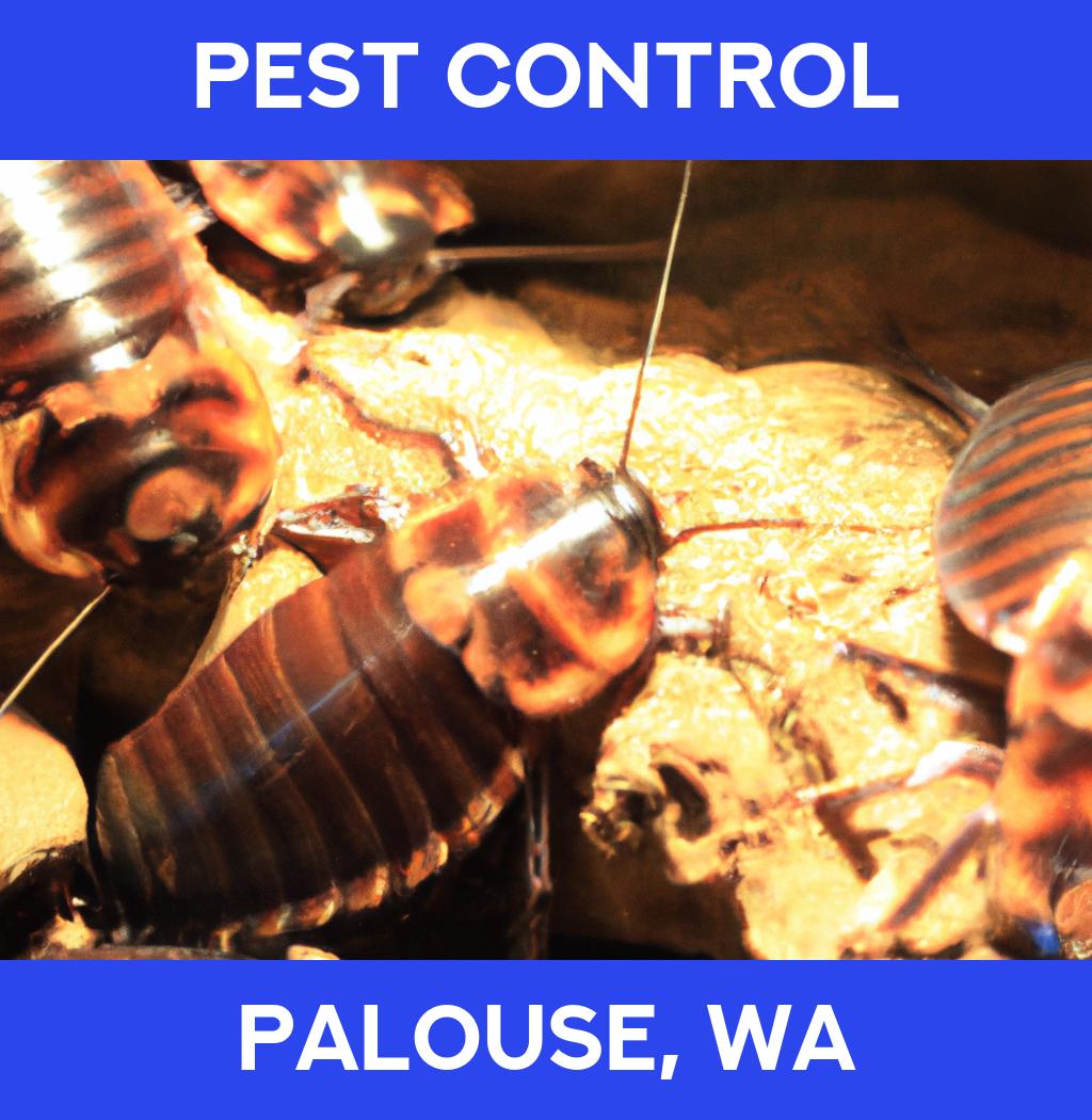 pest control in Palouse Washington