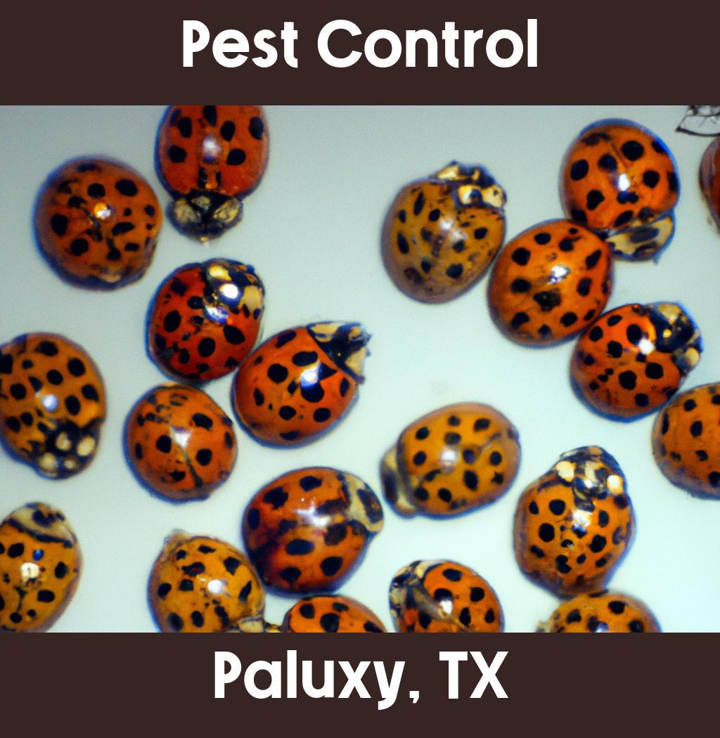 pest control in Paluxy Texas