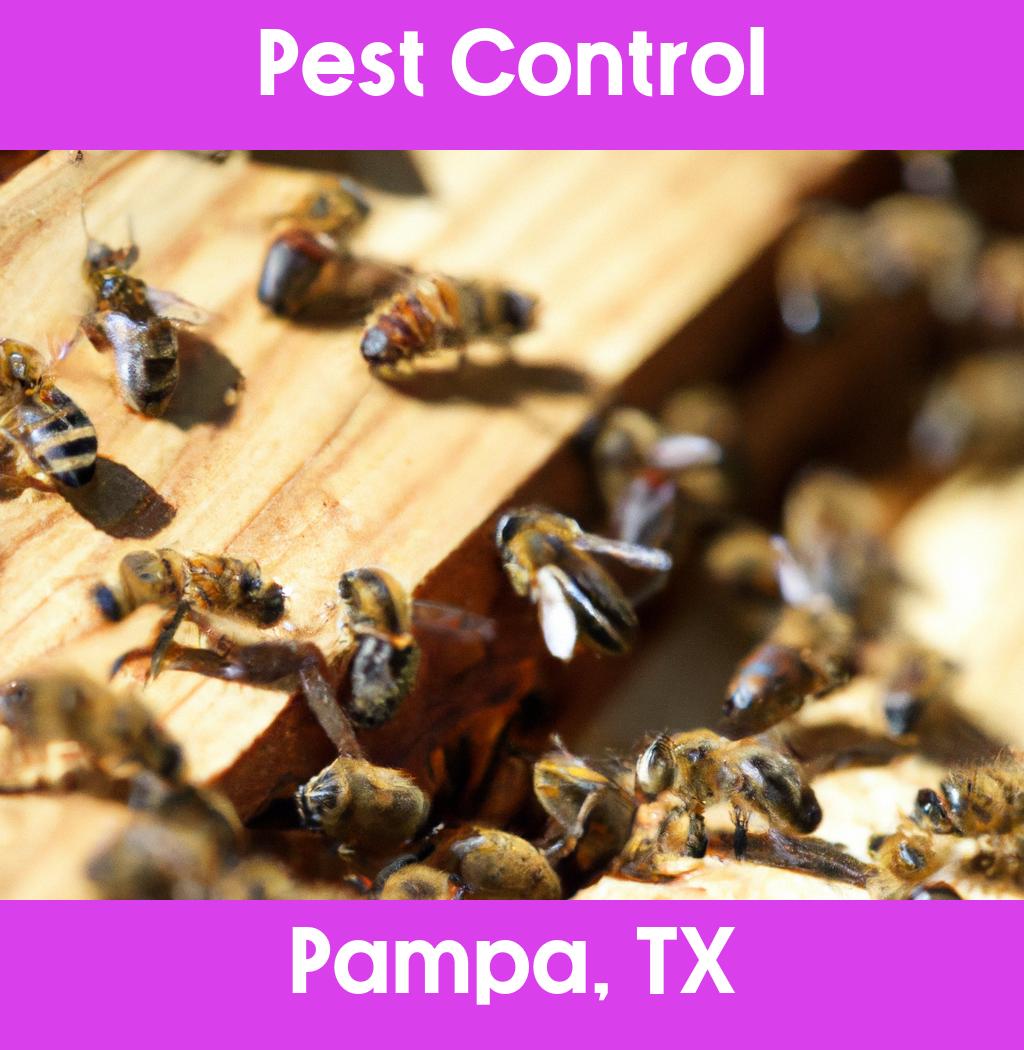 pest control in Pampa Texas