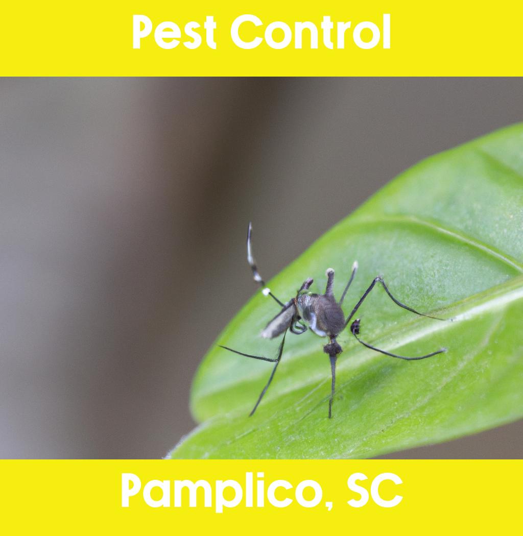 pest control in Pamplico South Carolina