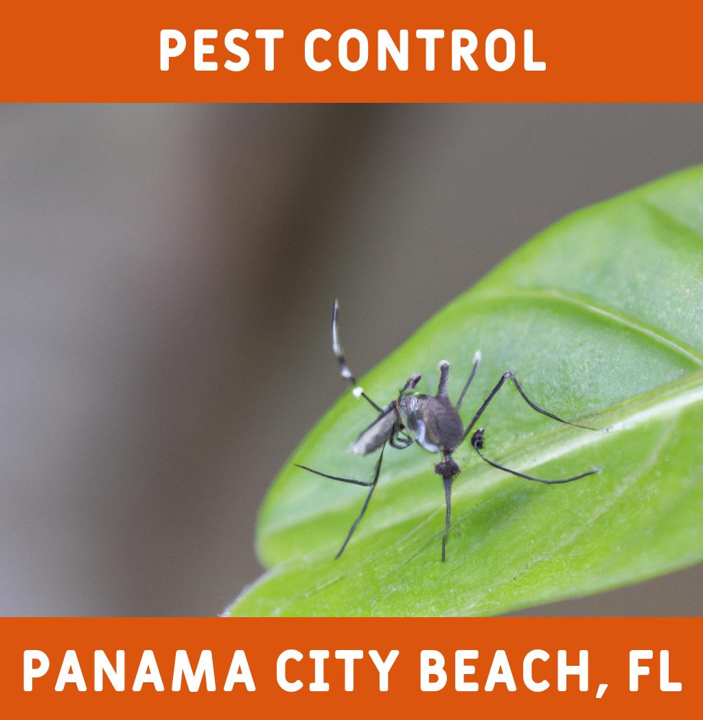 pest control in Panama City Beach Florida