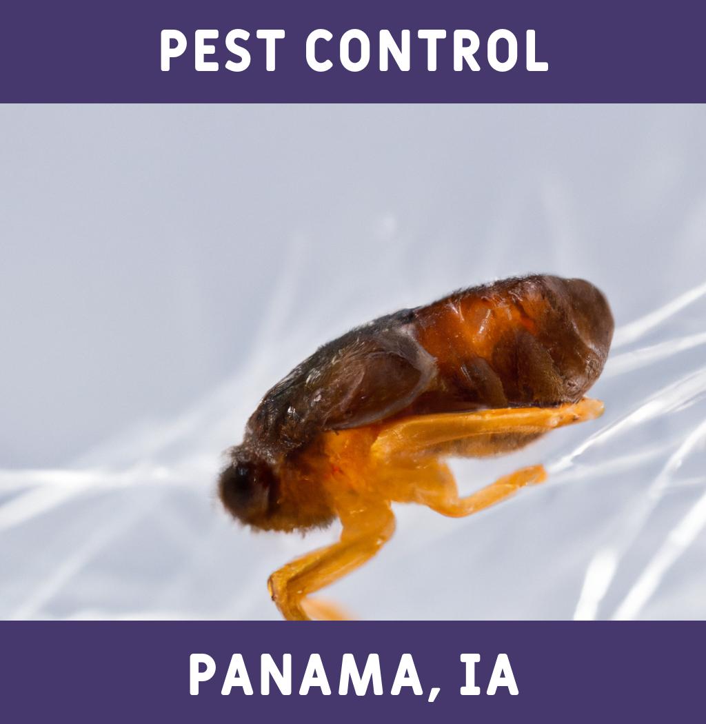 pest control in Panama Iowa