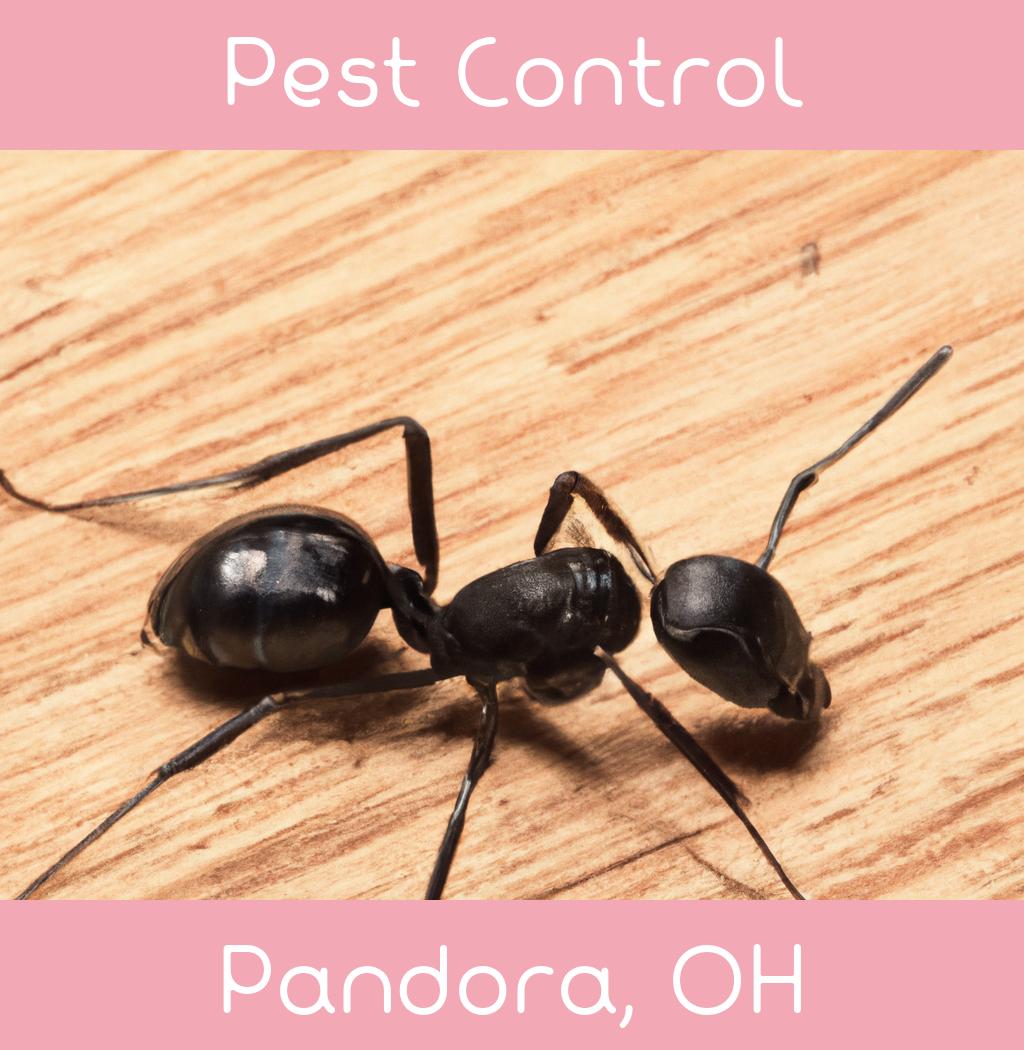 pest control in Pandora Ohio