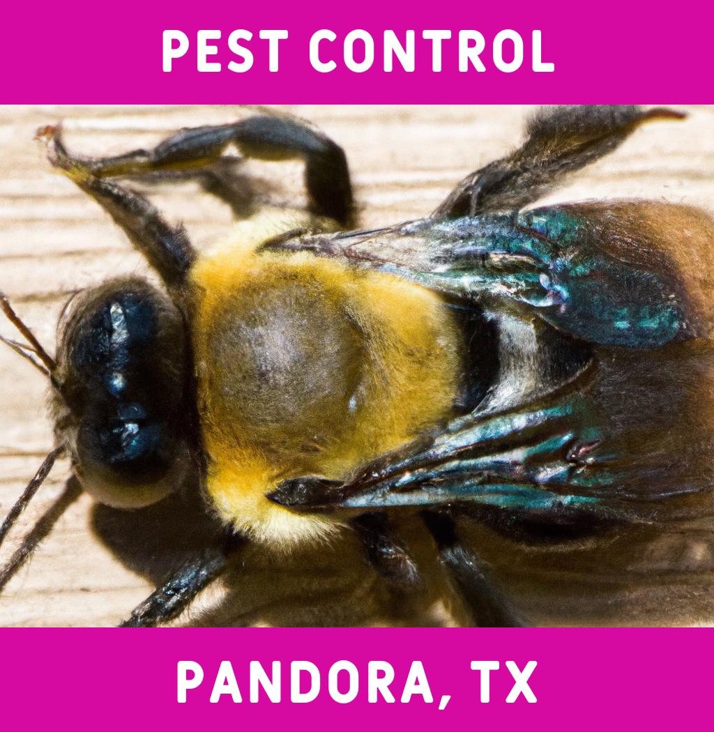 pest control in Pandora Texas