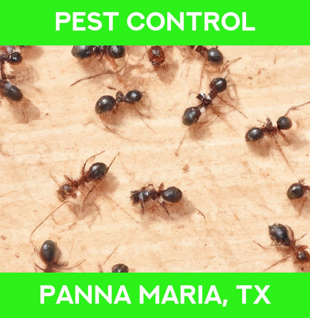 pest control in Panna Maria Texas