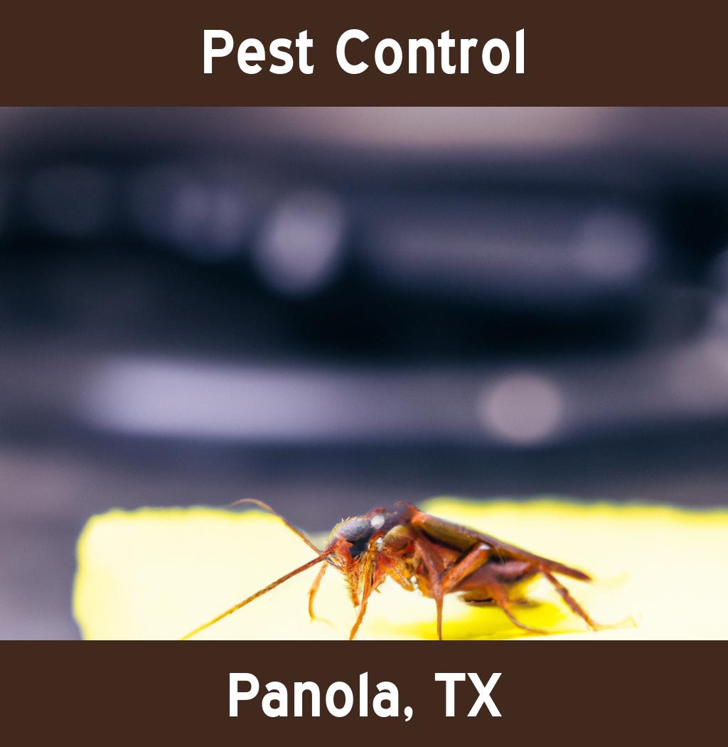 pest control in Panola Texas