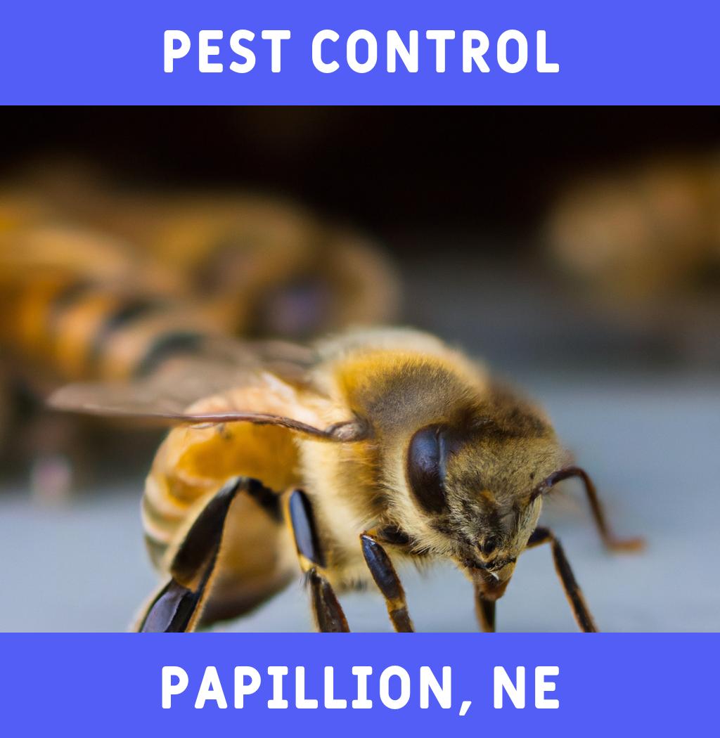 pest control in Papillion Nebraska